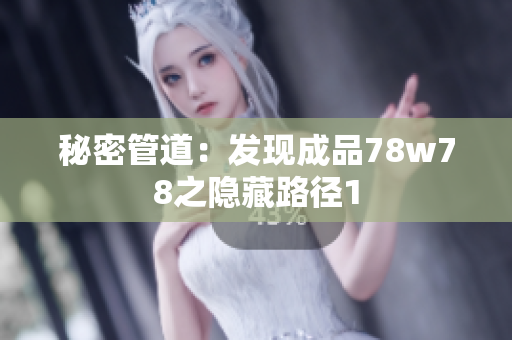 秘密管道：发现成品78w78之隐藏路径1