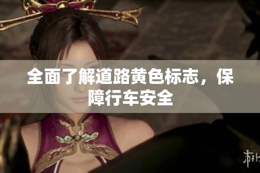 全面了解道路黄色标志，保障行车安全