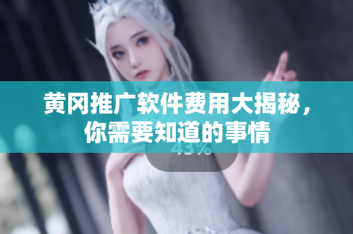黄冈推广软件费用大揭秘，你需要知道的事情