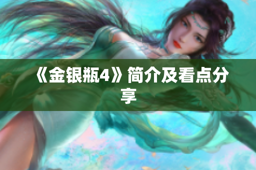 《金银瓶4》简介及看点分享