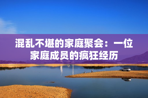 混乱不堪的家庭聚会：一位家庭成员的疯狂经历