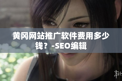 黄冈网站推广软件费用多少钱？-SEO编辑