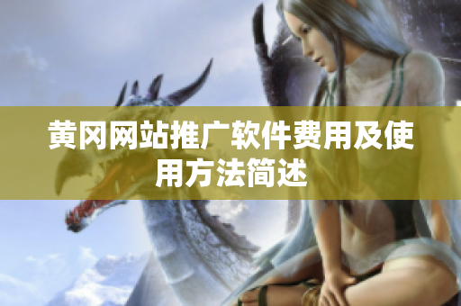 黄冈网站推广软件费用及使用方法简述