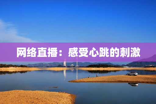 网络直播：感受心跳的刺激
