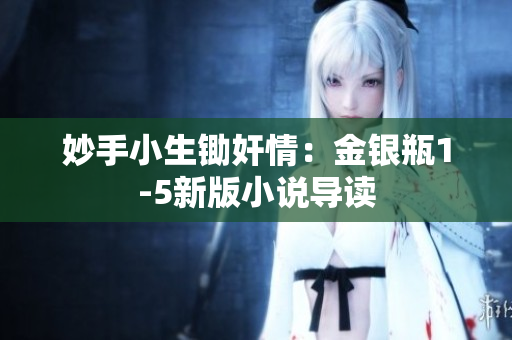 妙手小生锄奸情：金银瓶1-5新版小说导读