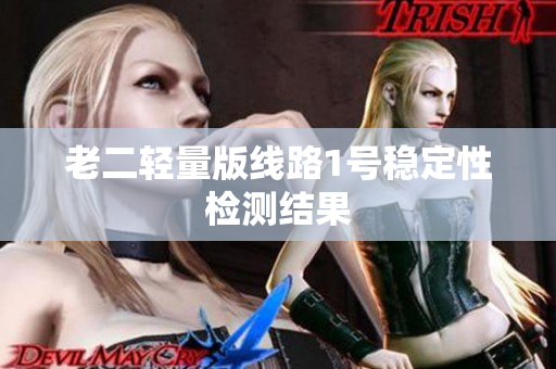 老二轻量版线路1号稳定性检测结果