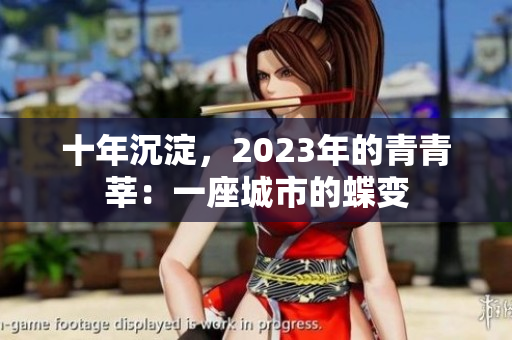 十年沉淀，2023年的青青莘：一座城市的蝶变