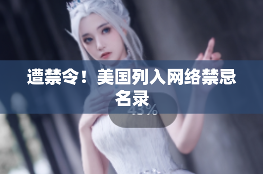 遭禁令！美国列入网络禁忌名录