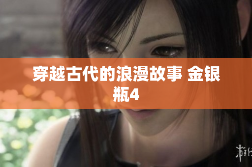 穿越古代的浪漫故事 金银瓶4