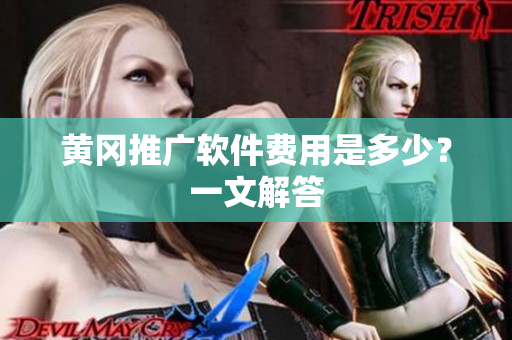 黄冈推广软件费用是多少？一文解答