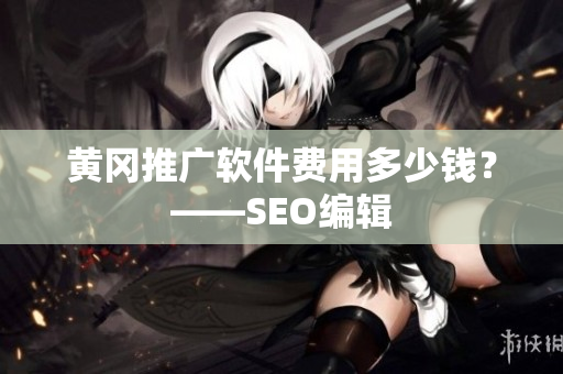 黄冈推广软件费用多少钱？——SEO编辑
