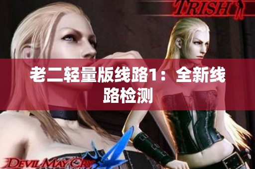老二轻量版线路1：全新线路检测