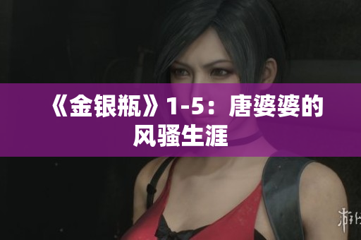 《金银瓶》1-5：唐婆婆的风骚生涯