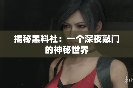 揭秘黑料社：一个深夜敲门的神秘世界
