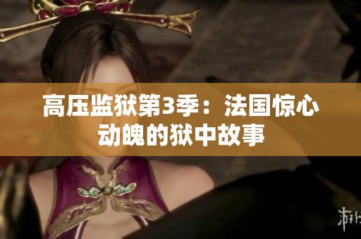 高压监狱第3季：法国惊心动魄的狱中故事