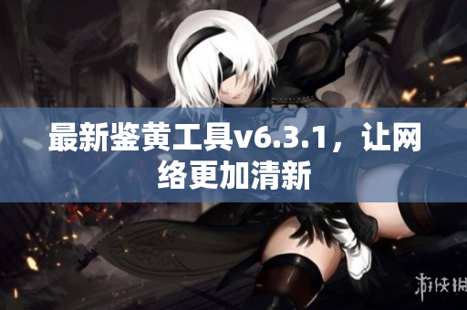 最新鉴黄工具v6.3.1，让网络更加清新