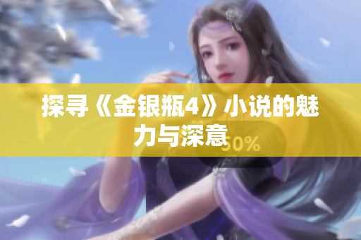 探寻《金银瓶4》小说的魅力与深意
