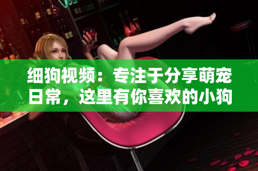 细狗视频：专注于分享萌宠日常，这里有你喜欢的小狗狗