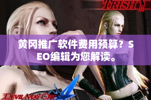 黄冈推广软件费用预算？SEO编辑为您解读。