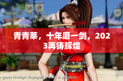 青青莘，十年磨一剑，2023再铸辉煌
