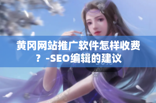 黄冈网站推广软件怎样收费？-SEO编辑的建议