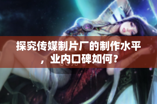 探究传媒制片厂的制作水平，业内口碑如何？
