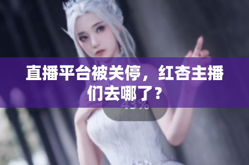 直播平台被关停，红杏主播们去哪了？