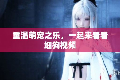 重温萌宠之乐，一起来看看细狗视频