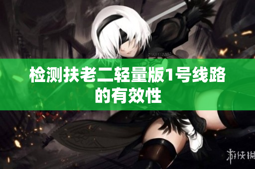 检测扶老二轻量版1号线路的有效性