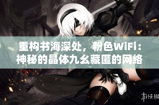 重构书海深处，粉色WiFi：神秘的晶体九幺藏匿的网络宝藏