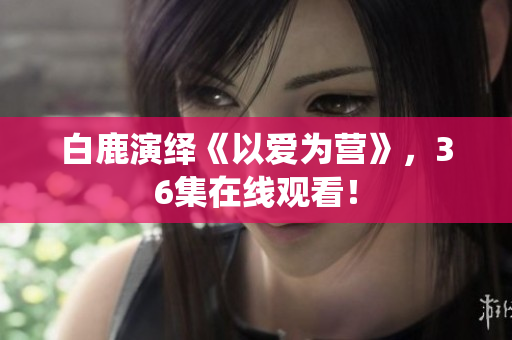白鹿演绎《以爱为营》，36集在线观看！