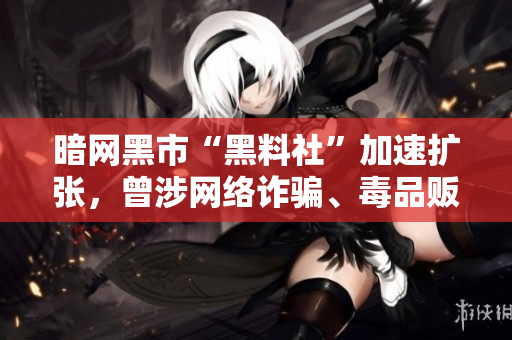 暗网黑市“黑料社”加速扩张，曾涉网络诈骗、毒品贩卖等犯罪活动