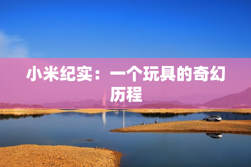 小米纪实：一个玩具的奇幻历程