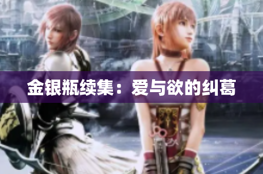 金银瓶续集：爱与欲的纠葛