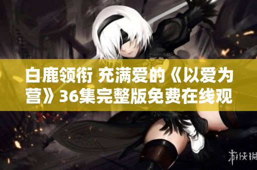 白鹿领衔 充满爱的《以爱为营》36集完整版免费在线观看