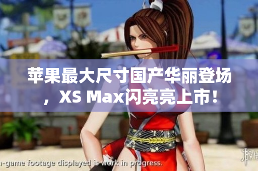 苹果最大尺寸国产华丽登场，XS Max闪亮亮上市！