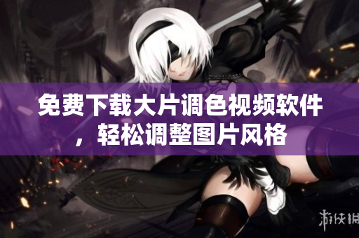 免费下载大片调色视频软件，轻松调整图片风格