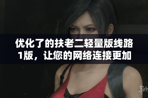 优化了的扶老二轻量版线路1版，让您的网络连接更加无忧！