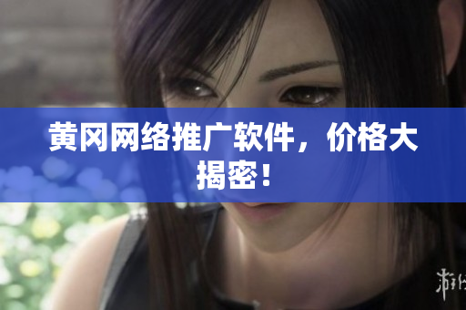 黄冈网络推广软件，价格大揭密！