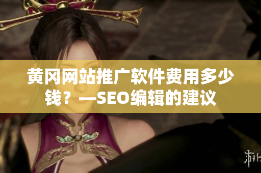 黄冈网站推广软件费用多少钱？—SEO编辑的建议