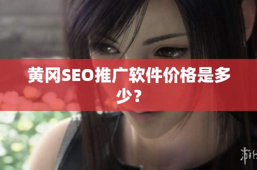 黄冈SEO推广软件价格是多少？