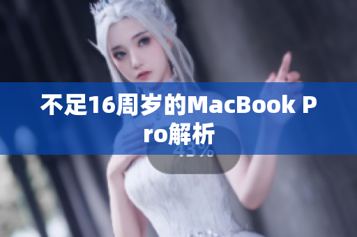 不足16周岁的MacBook Pro解析