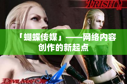 「蝴蝶传媒」——网络内容创作的新起点
