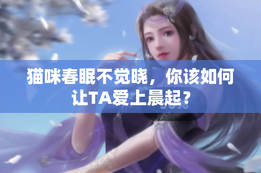 猫咪春眠不觉晓，你该如何让TA爱上晨起？