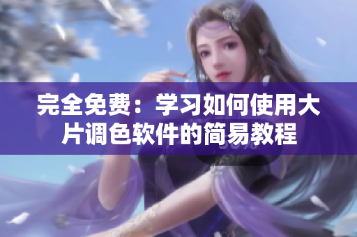 完全免费：学习如何使用大片调色软件的简易教程