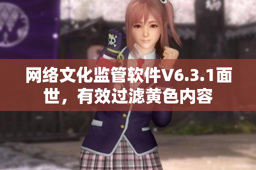 网络文化监管软件V6.3.1面世，有效过滤黄色内容