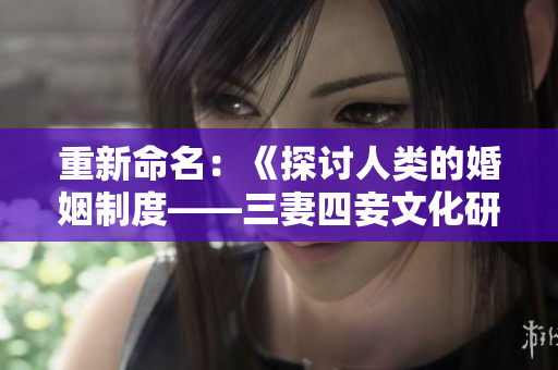重新命名：《探讨人类的婚姻制度——三妻四妾文化研究》