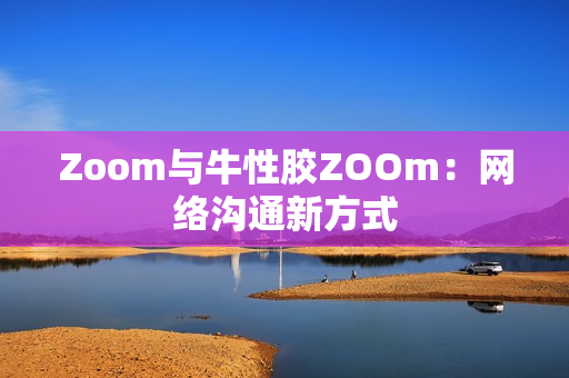 Zoom与牛性胶ZOOm：网络沟通新方式