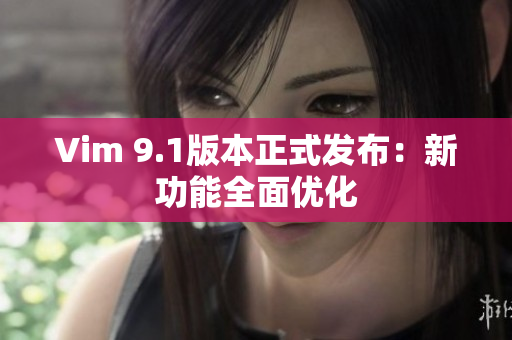 Vim 9.1版本正式发布：新功能全面优化