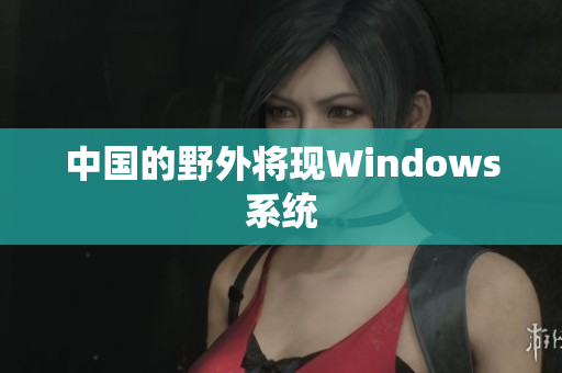 中国的野外将现Windows系统